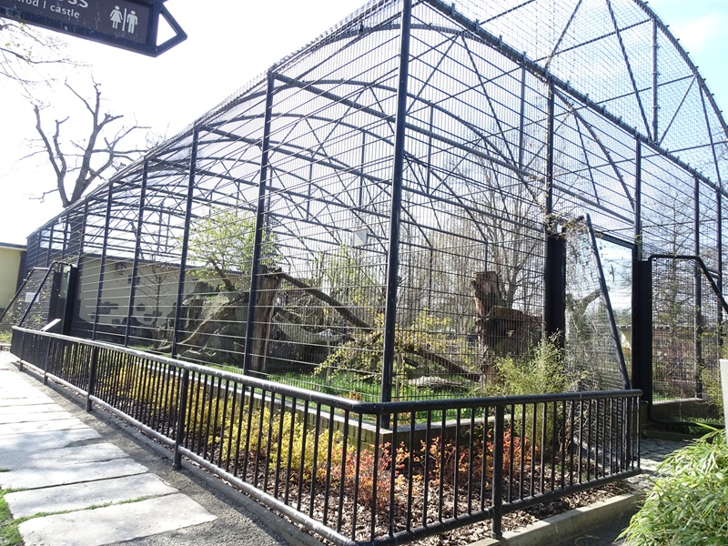 Second leopard enclosure