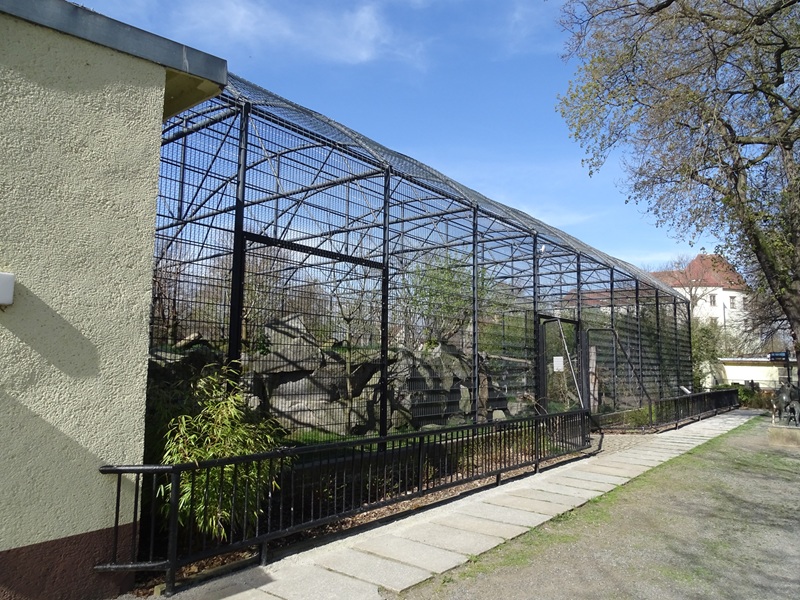 Second leopard enclosure