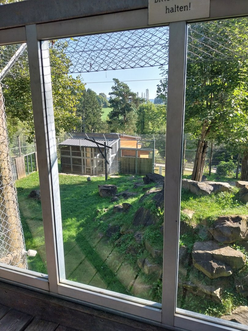 Second lion enclosure