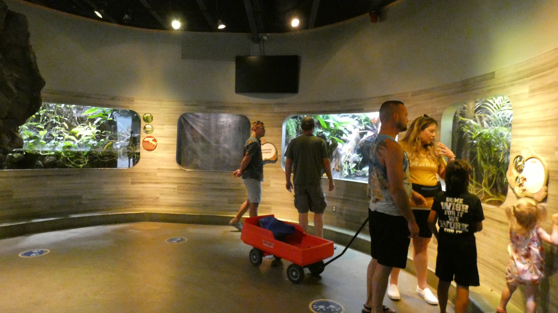 Second Main Hall, National Amphibian Conservation Center - July 2022