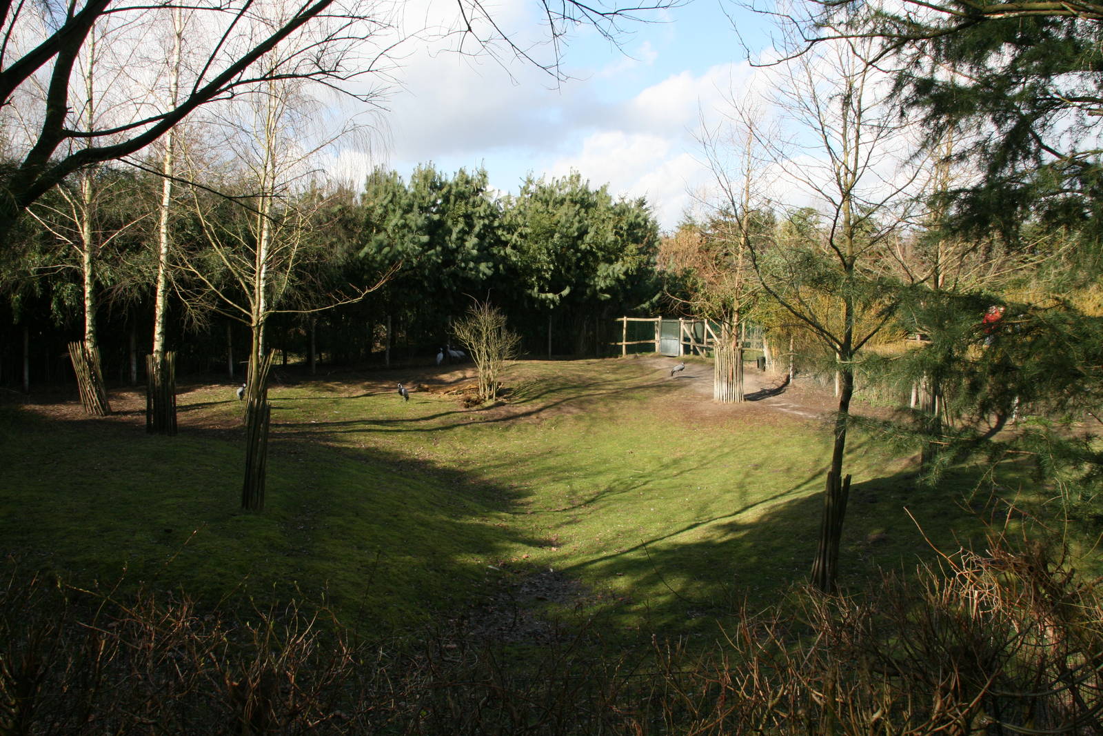 second Malayan tapir exhibit