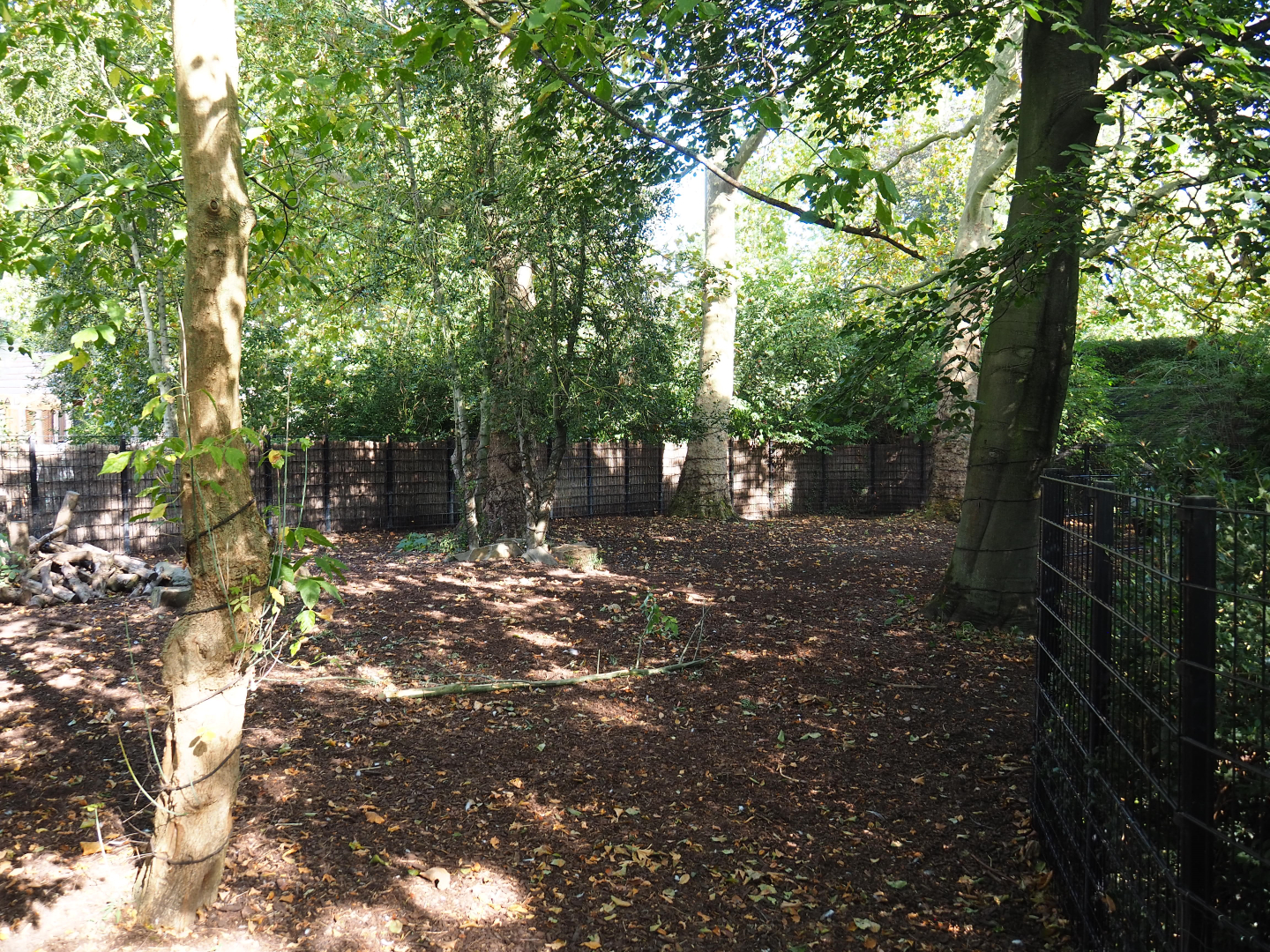 Second Malayan tapir paddock, 2020-09-20