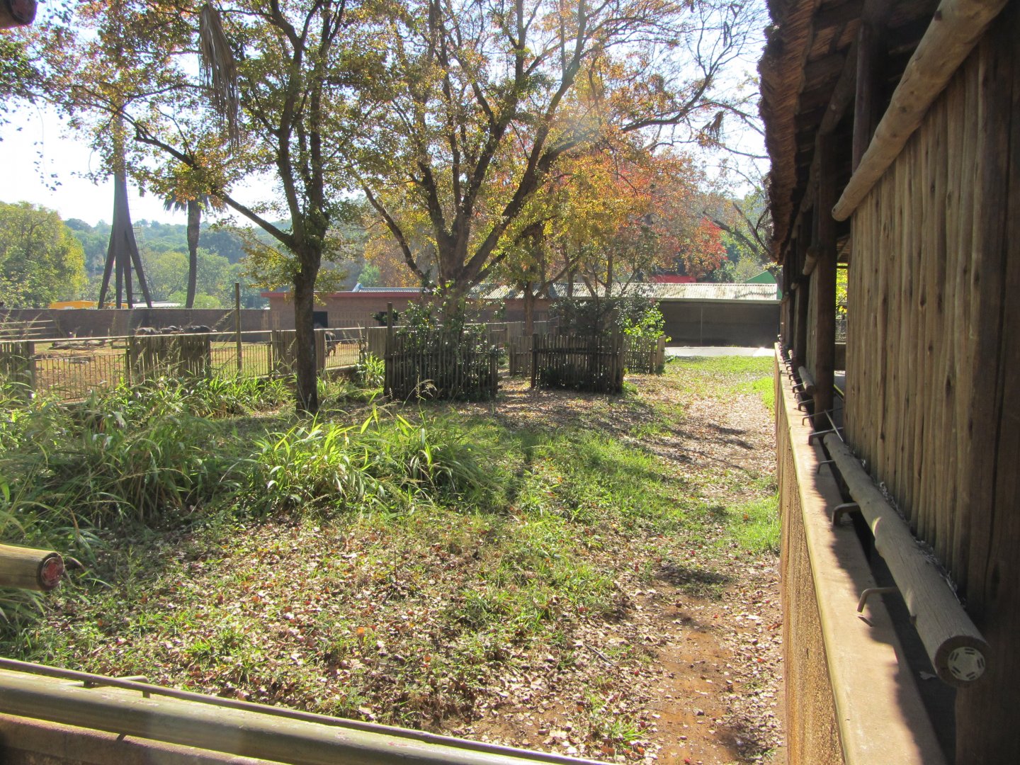 Second Malayan Tapir Yard
