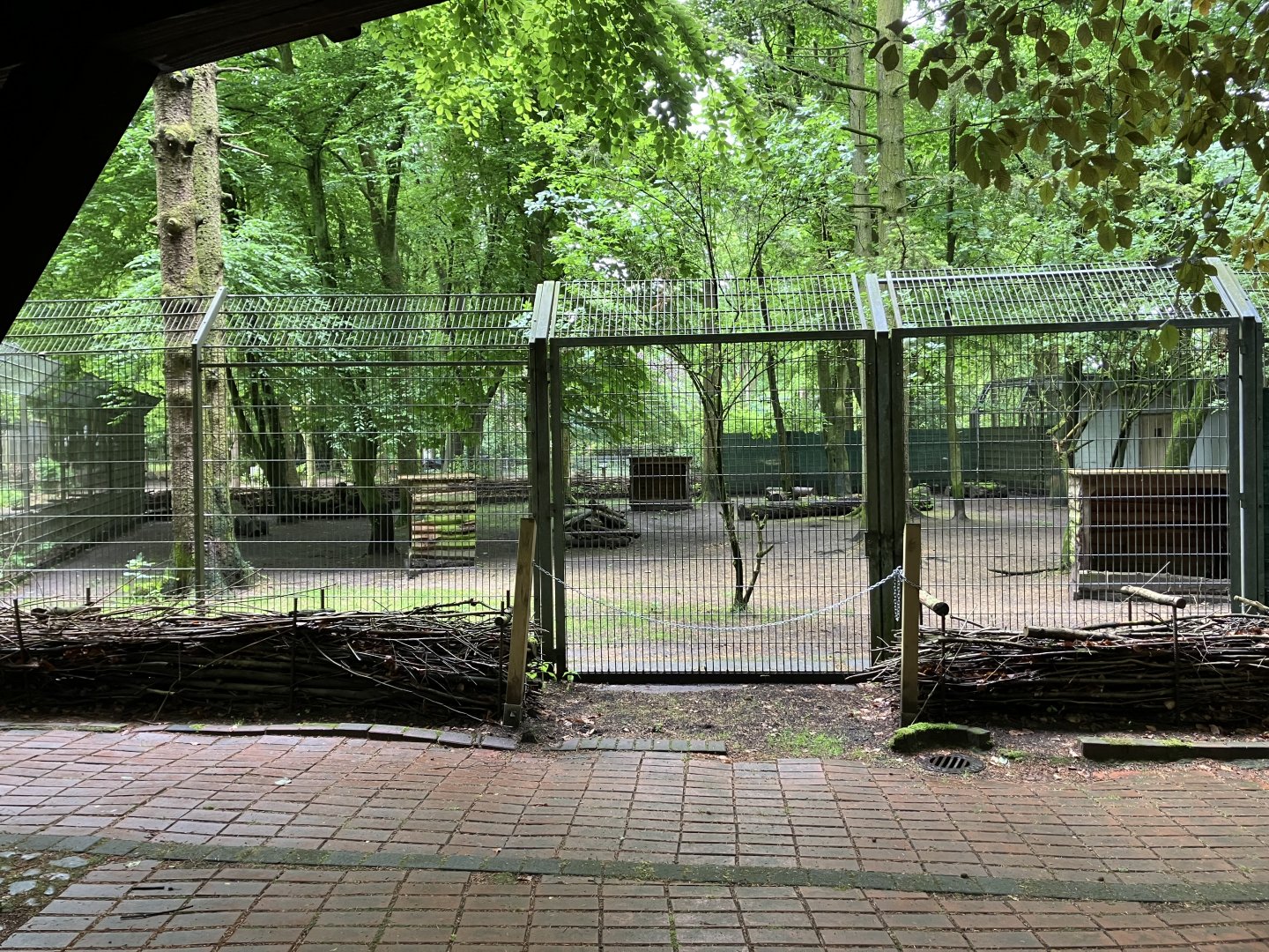 Second maned wolf enclosure