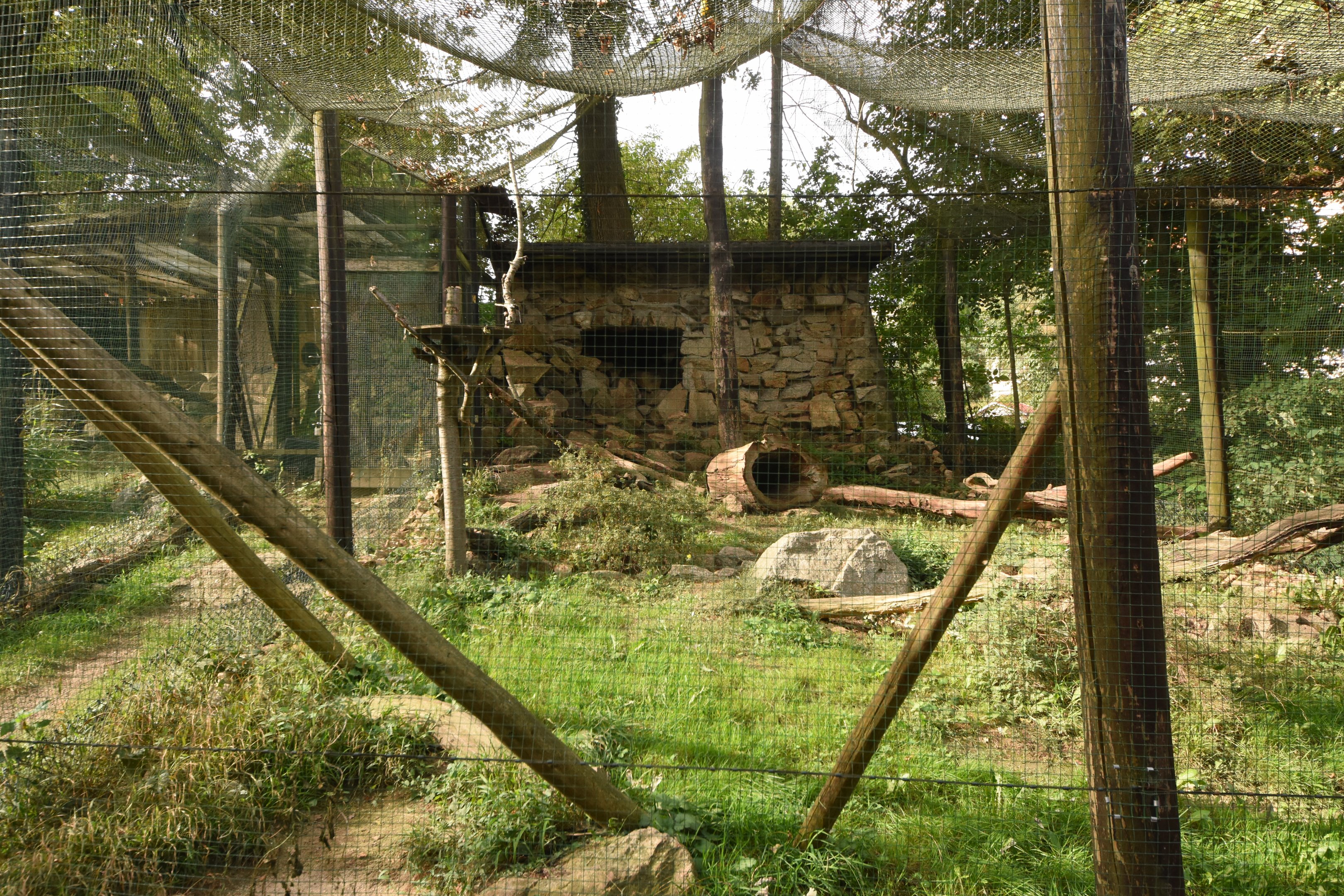 Second manul aviary