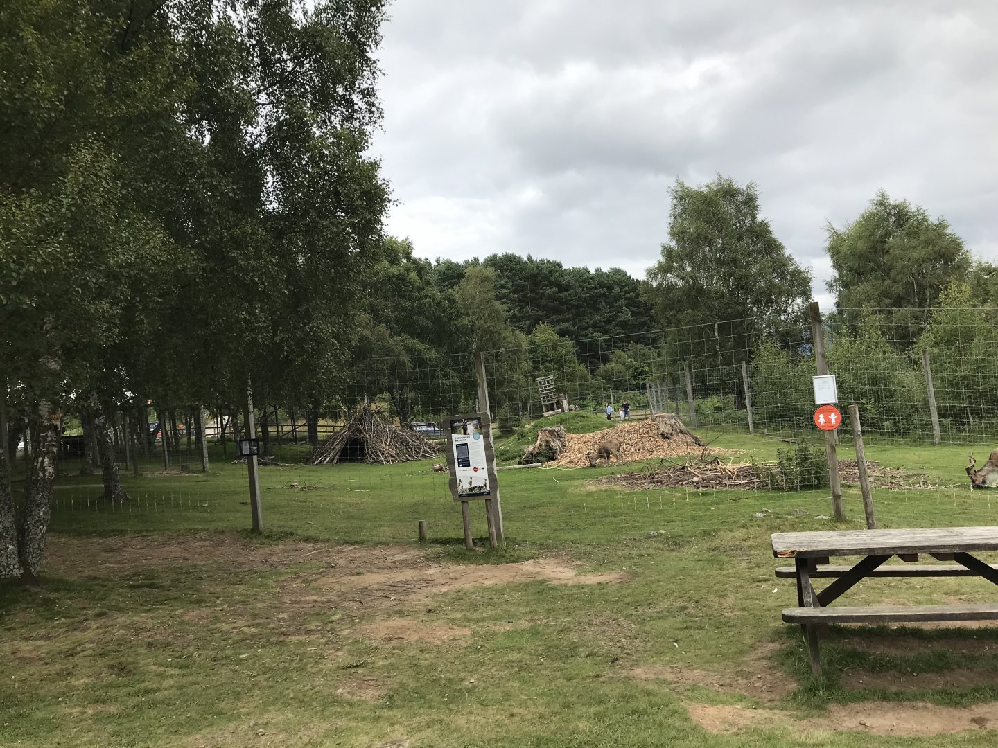 Second markhor enclosure