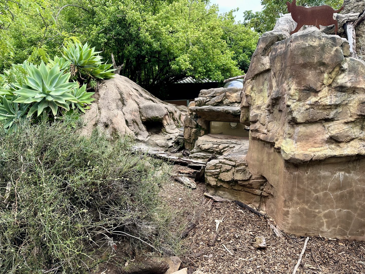 Second Meerkat Exhibit