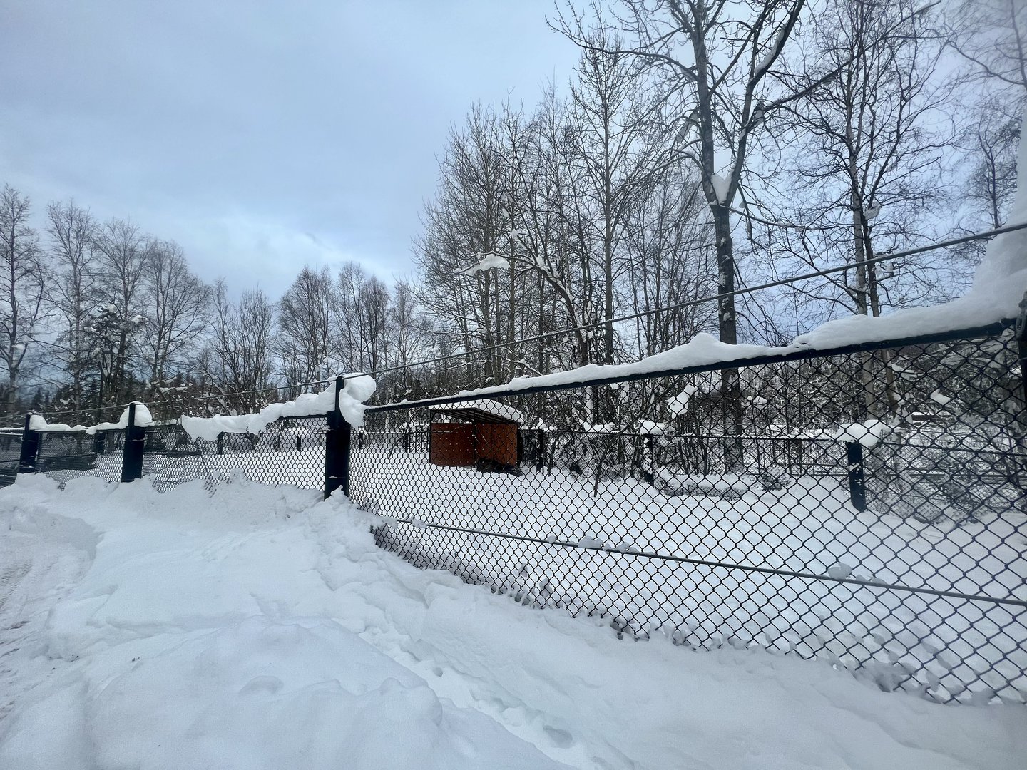Second Moose Exhibit