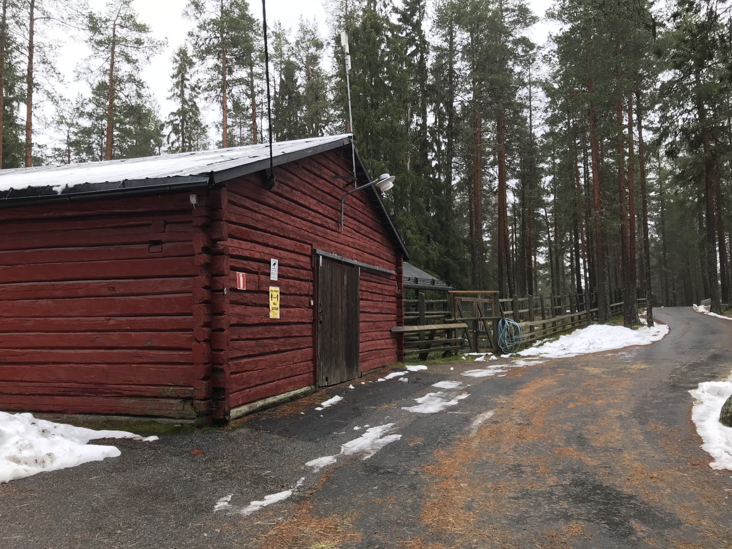 Second musk ox paddock