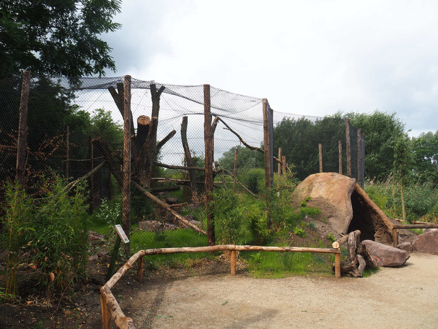 Second new fossa exhibit, 2019-08-11
