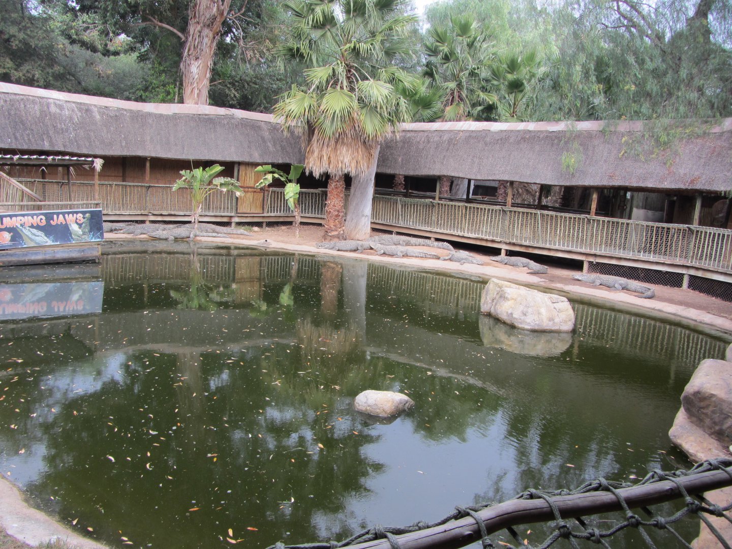 Second Nile Crocodile Exhibit