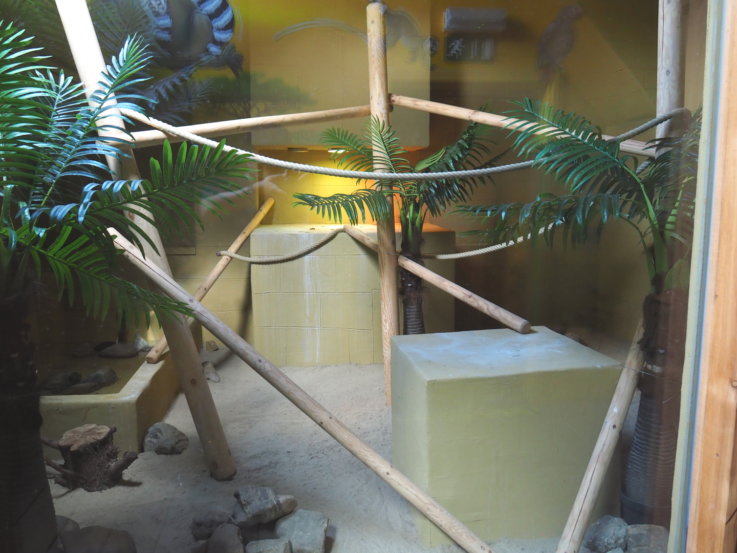 Second Nile monitor terrarium, 2020-09-12