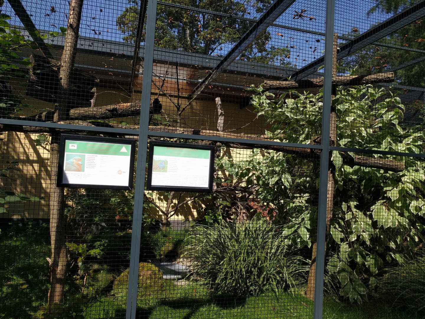 Second North American Aviary