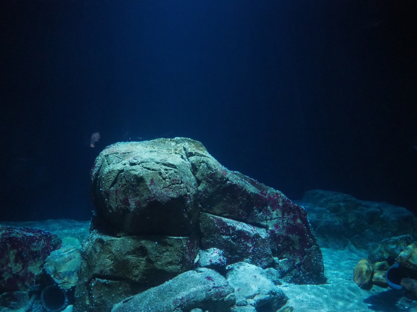 Second North Sea tank (Nov 10th, 2018)