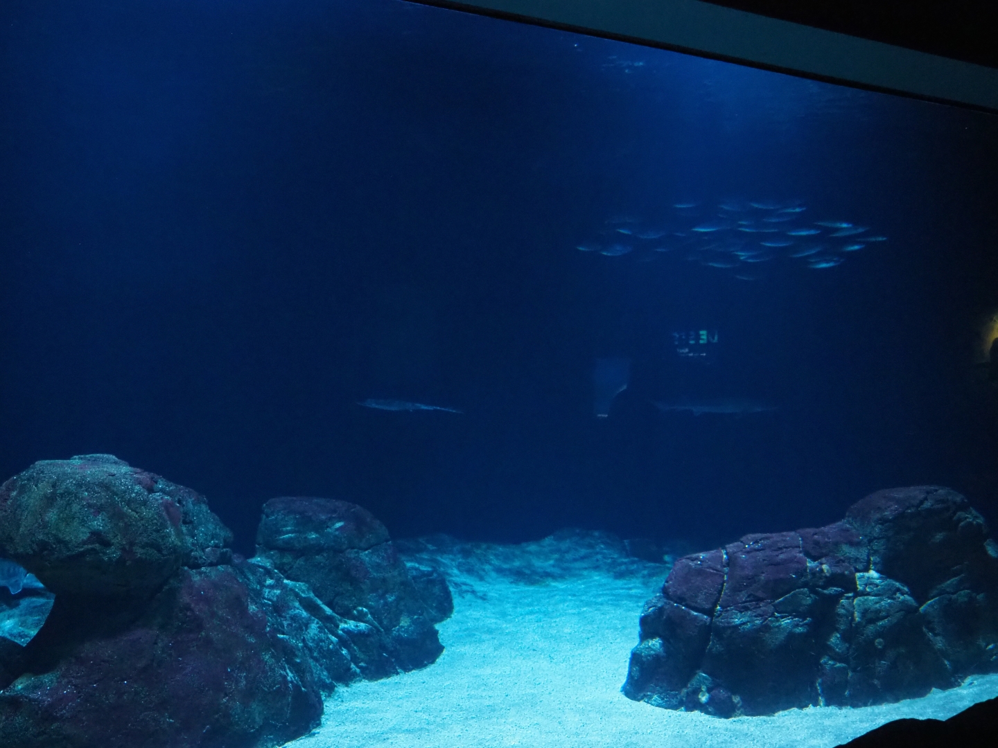 Second North Sea tank (Nov 10th, 2018)