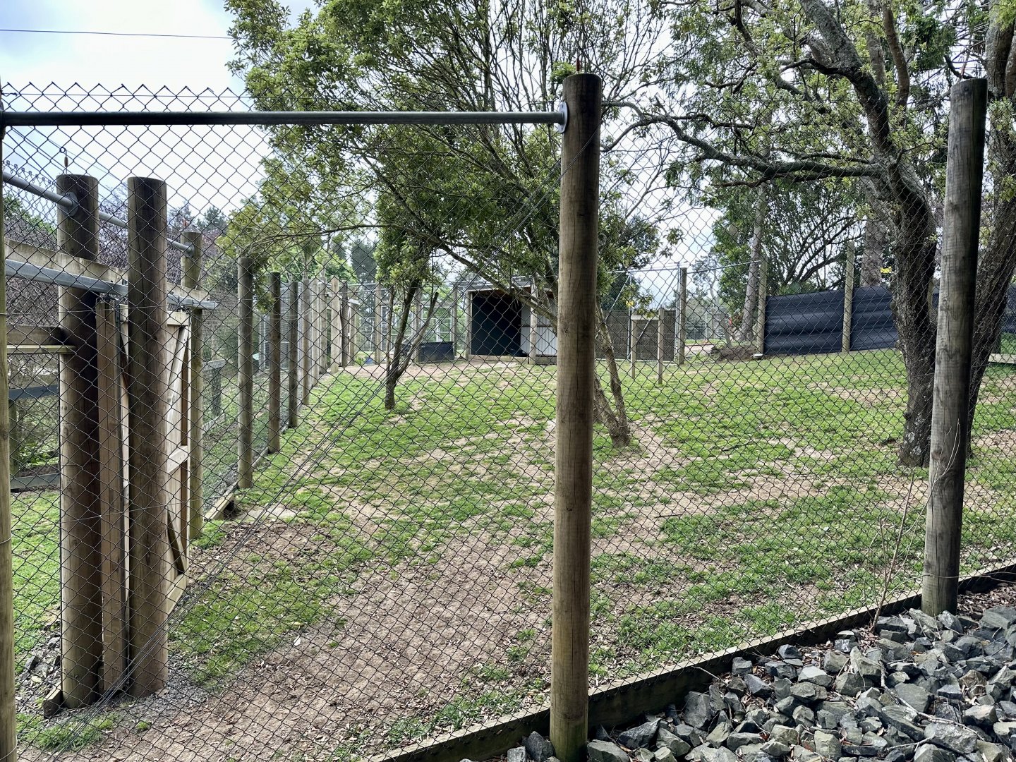 Second Nyala Exhibit