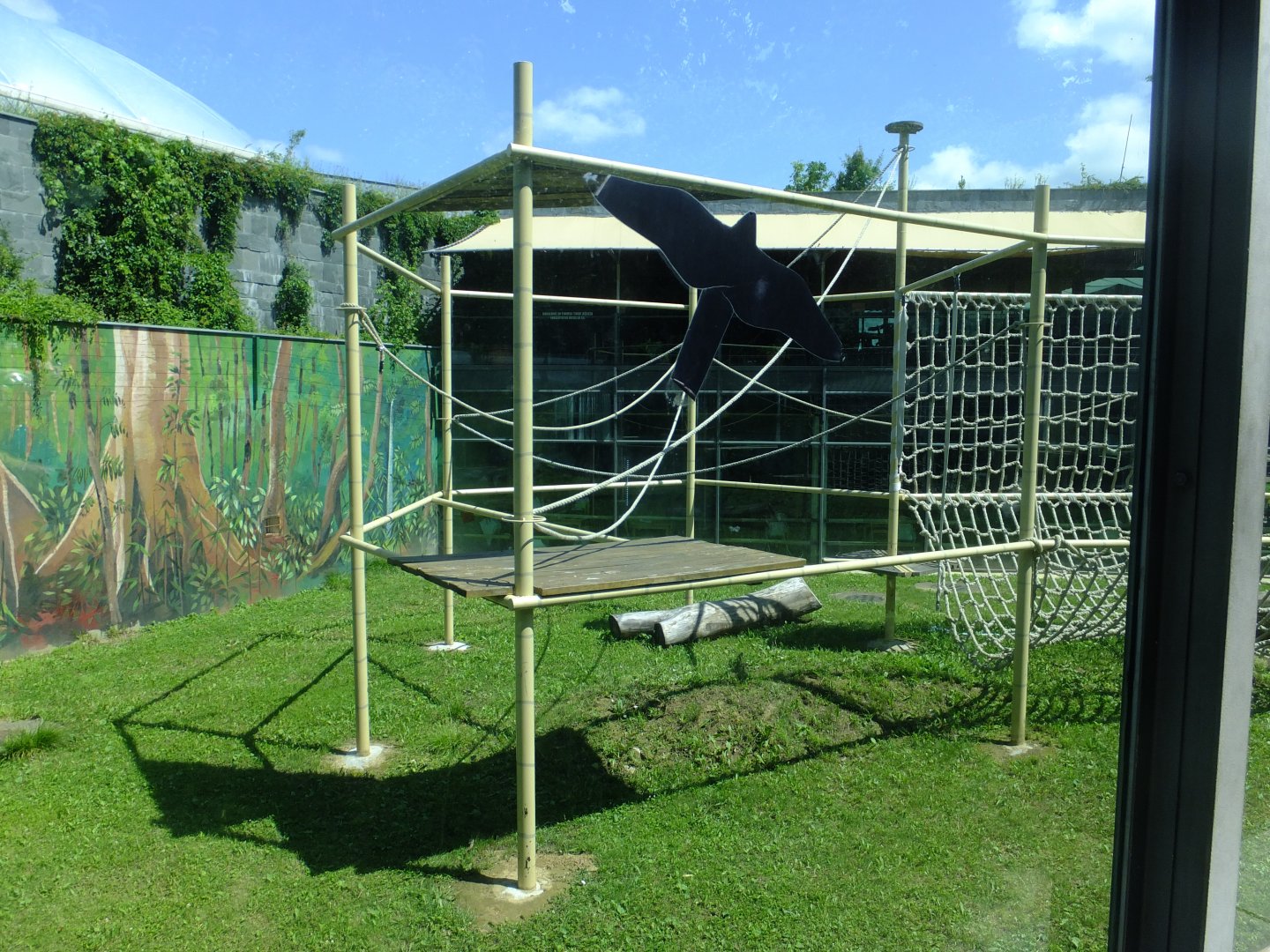 Second orangutan enclosure