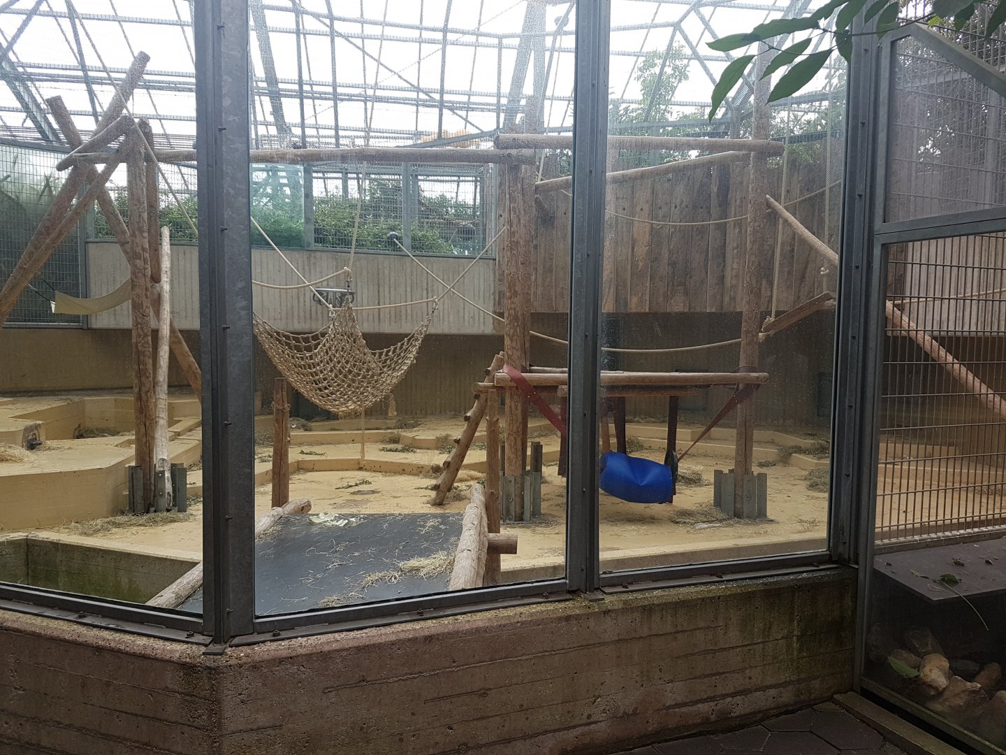Second Orangutan indoor enclosure