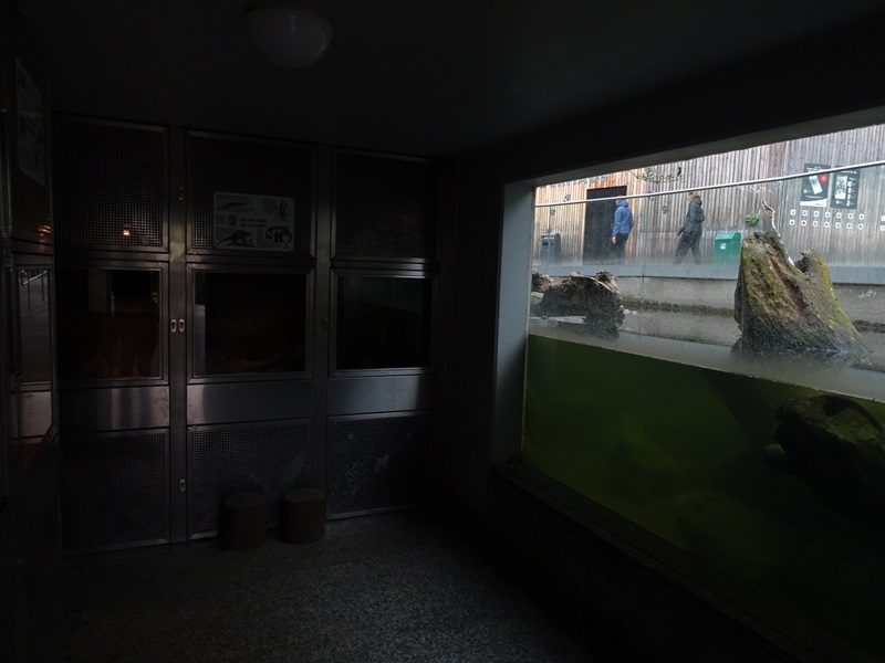 Second otter enclosure