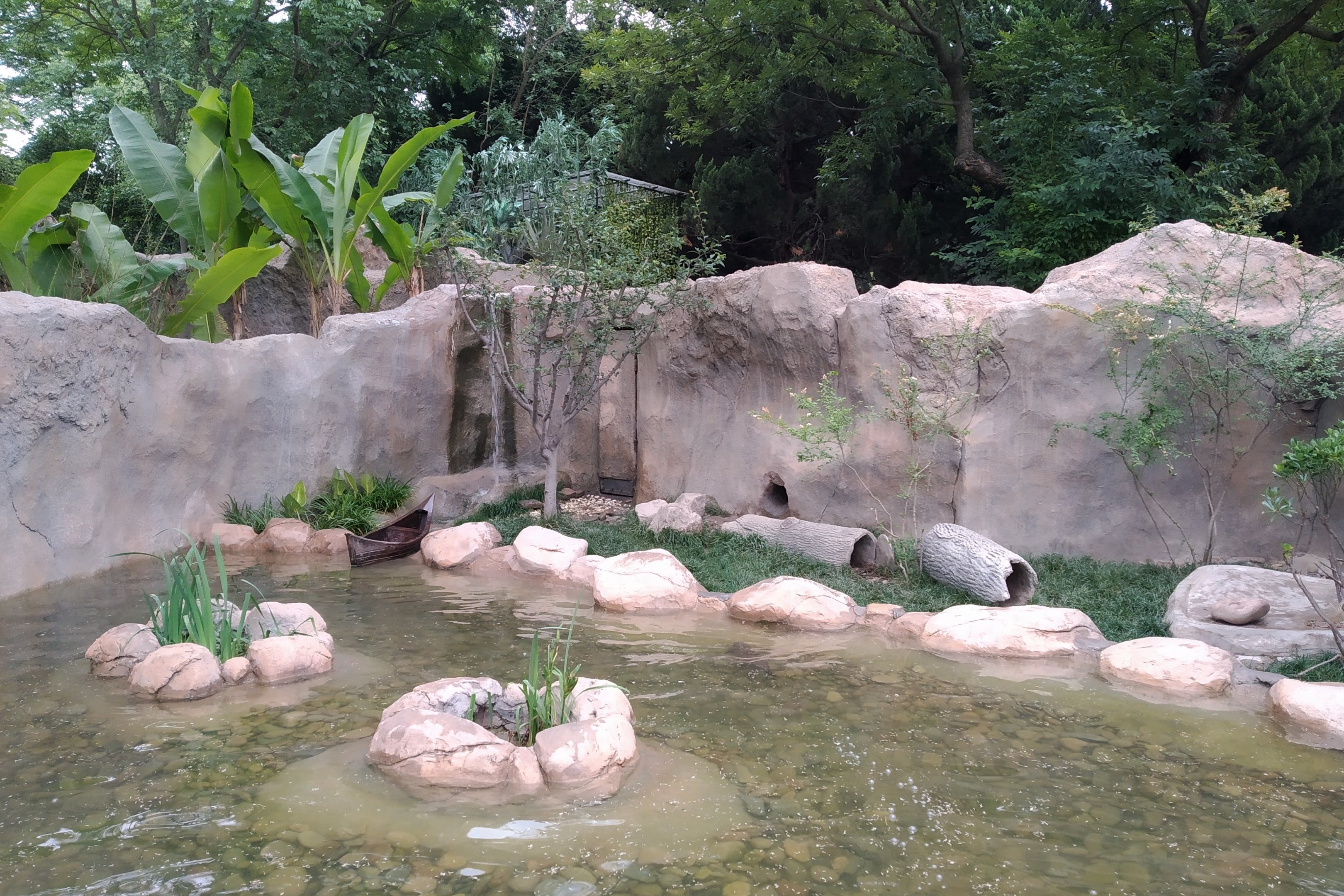 Second Otter Exhibit