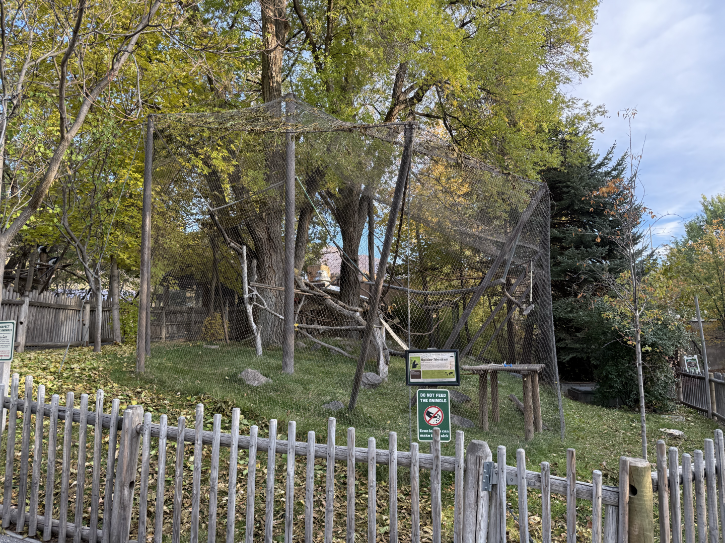 Second Outdoor Habitat - Primate Forest