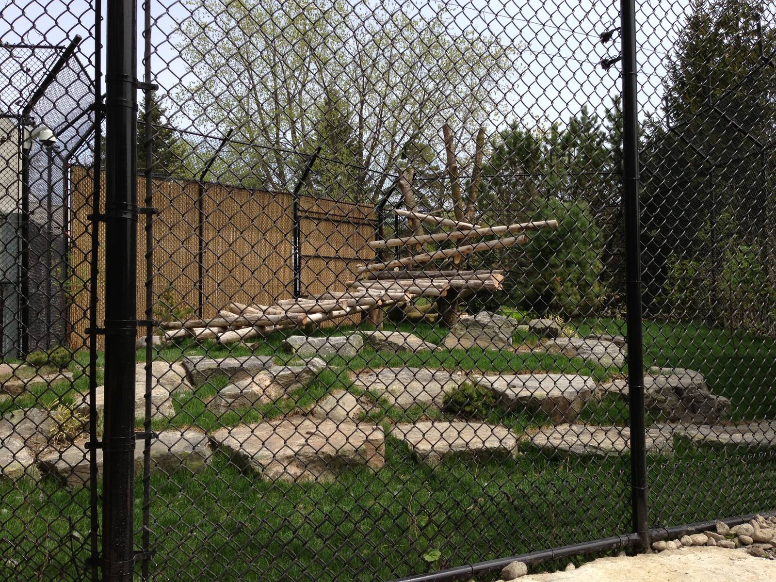 Second Panda Exhibit