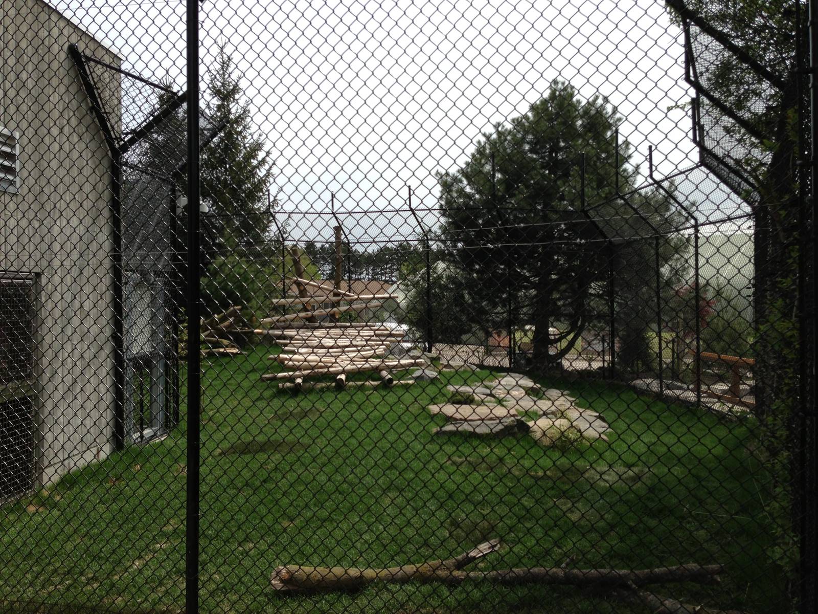 Second Panda Exhibit