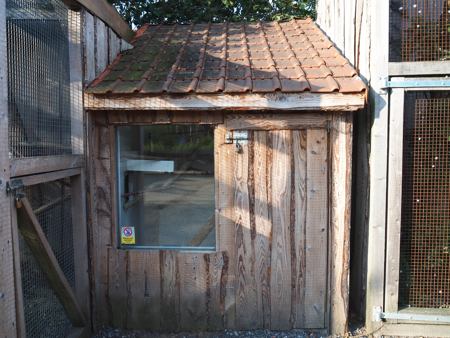 Second parakeet and small parrot barn, 2020-09-12