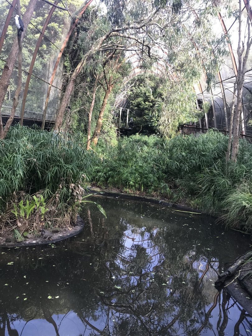 Second part of the GFA - wetlands section