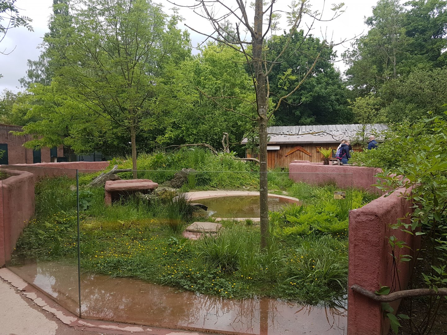 Second part Tasmanian devil enclosure
