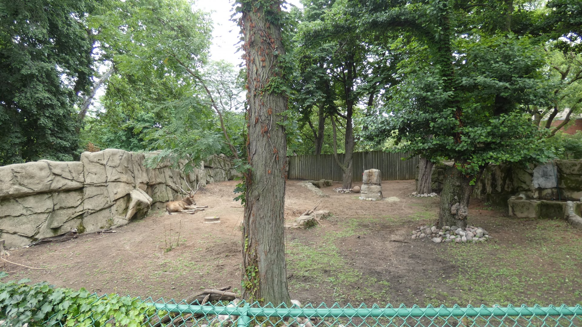 Second Père David's Deer Yard, Hoofstock Paddocks - July 2022