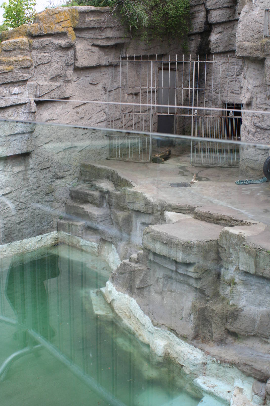 second polar bear enclosure @ Schonbrunn Zoo, Vienna 23.04.08