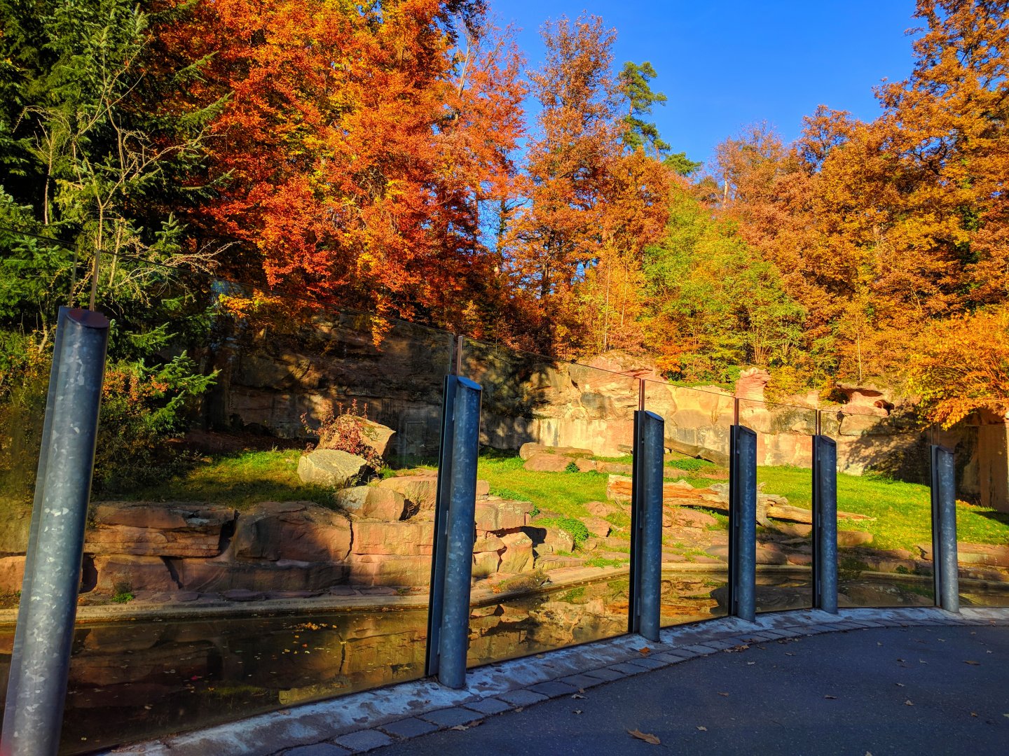 Second Polar Bear Enclosure