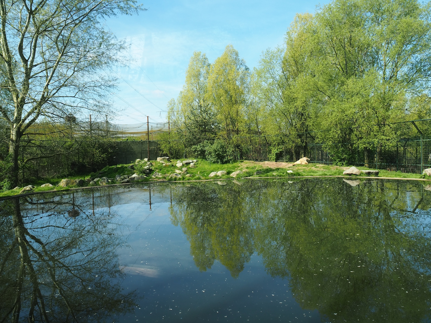 Second polar bear exhibit, 2023-04-30