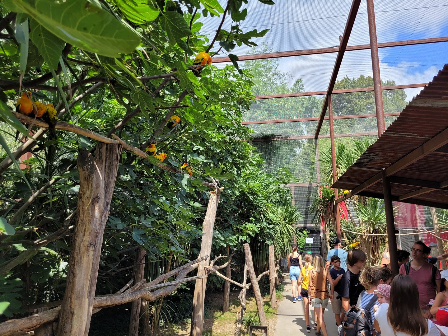 Second psittaciformes exhibit -Parc Animalier des Pyrénées (2023)