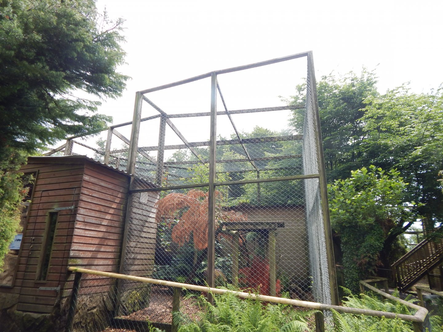 Second Puma enclosure 050625