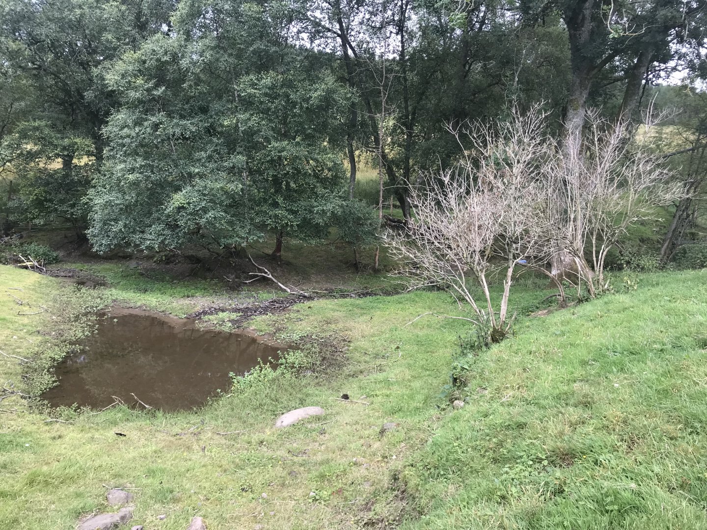 Second pygmy goat enclosure