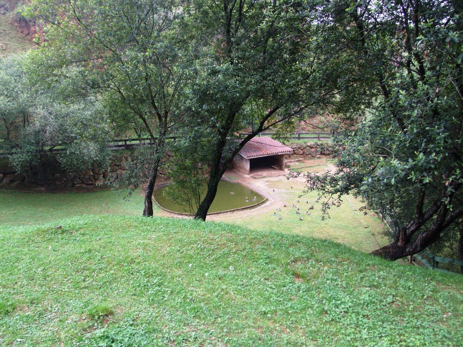 Second Pygmy Hippo Enclosure at Cabarceno, 11/06/15
