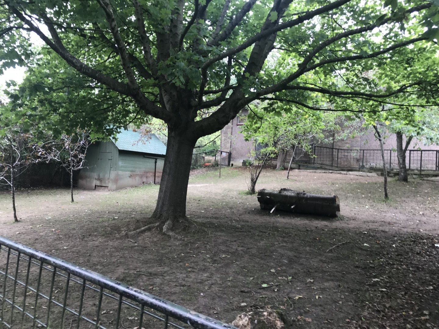 Second pygmy hippo enclosure