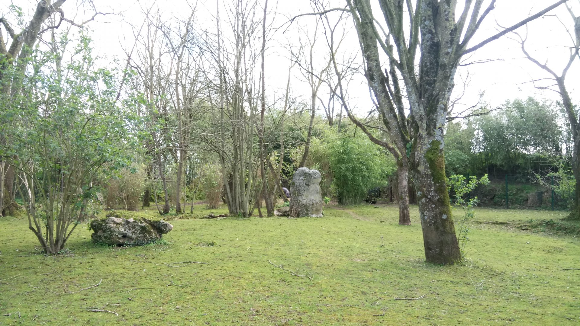 Second pygmy hippos enclosure