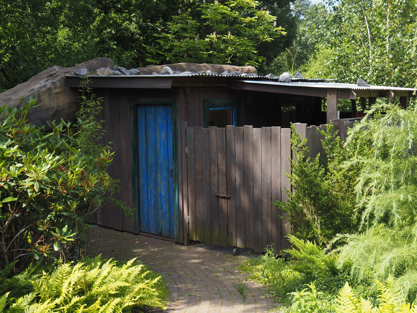 Second red panda exhibit holding building, 2024-06-30