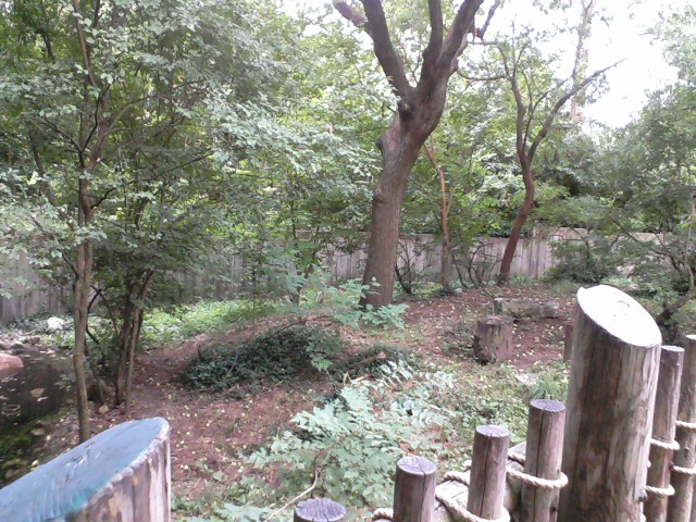 Second Red Panda exhibit