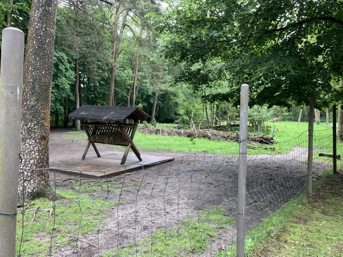 Second Reindeer paddock