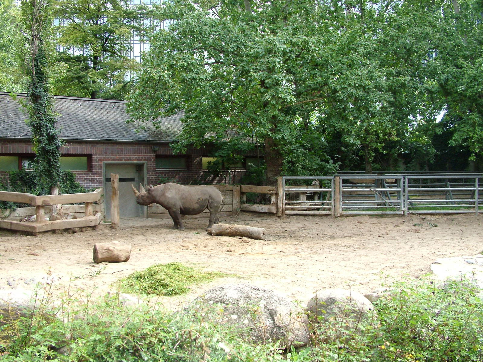 Second Rhino House at Berlin Zoo, 31/08/11
