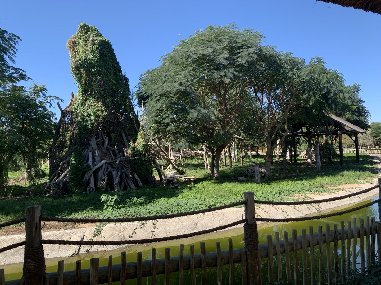 Second ring-tailed lemur enclosure