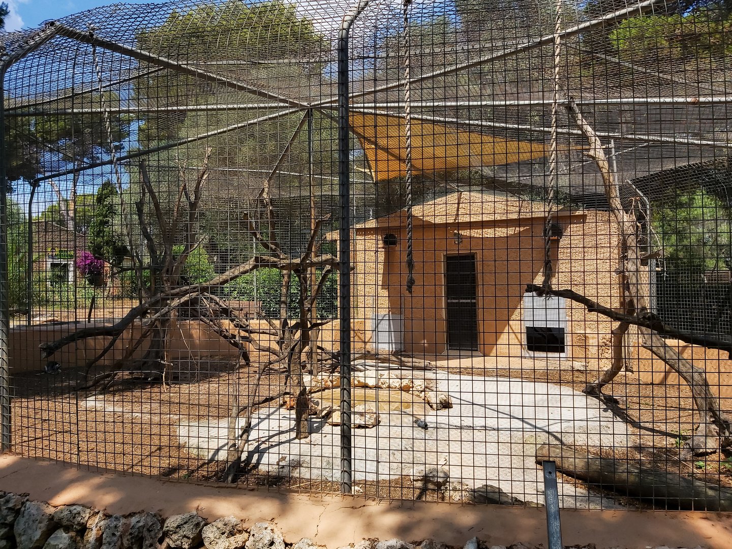'Second' ring-tailed lemur exhibit