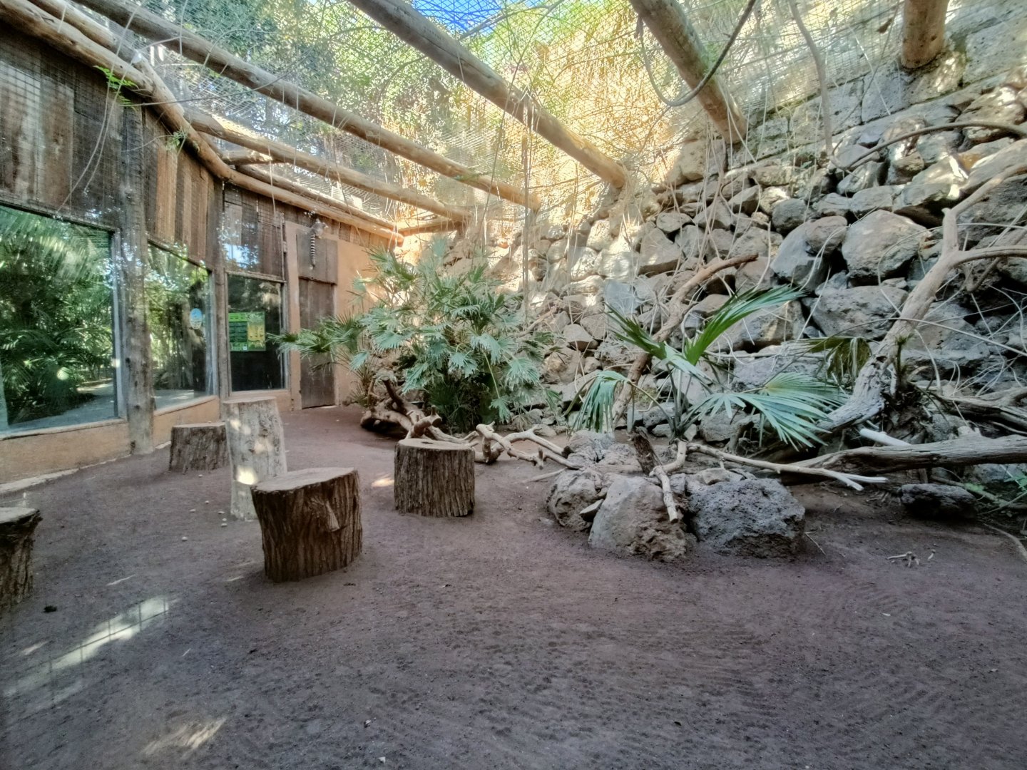 Second Ring-tailed lemur exhibit