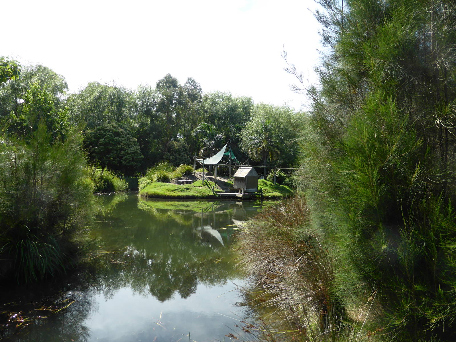 Second Ring-tailed Lemur island
