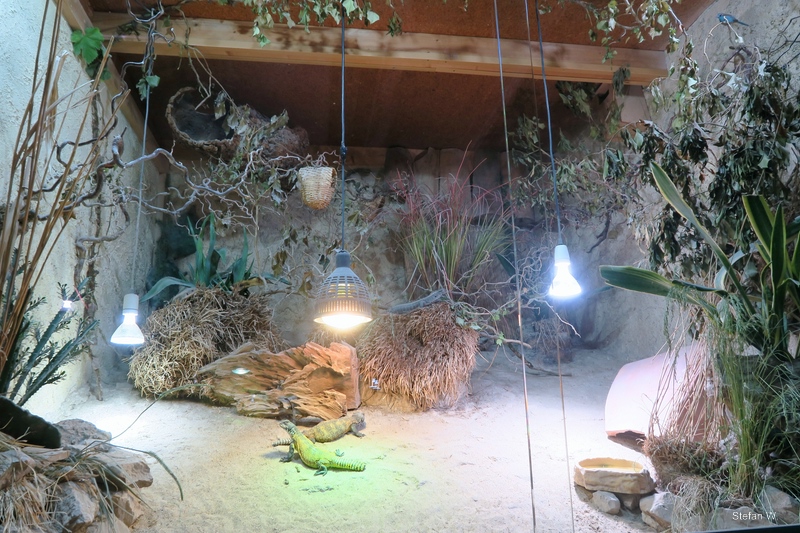 Second Room - Africa