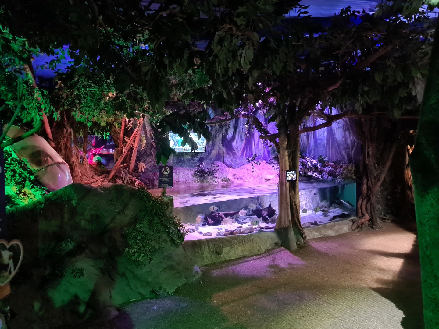 Second room - Amazonia